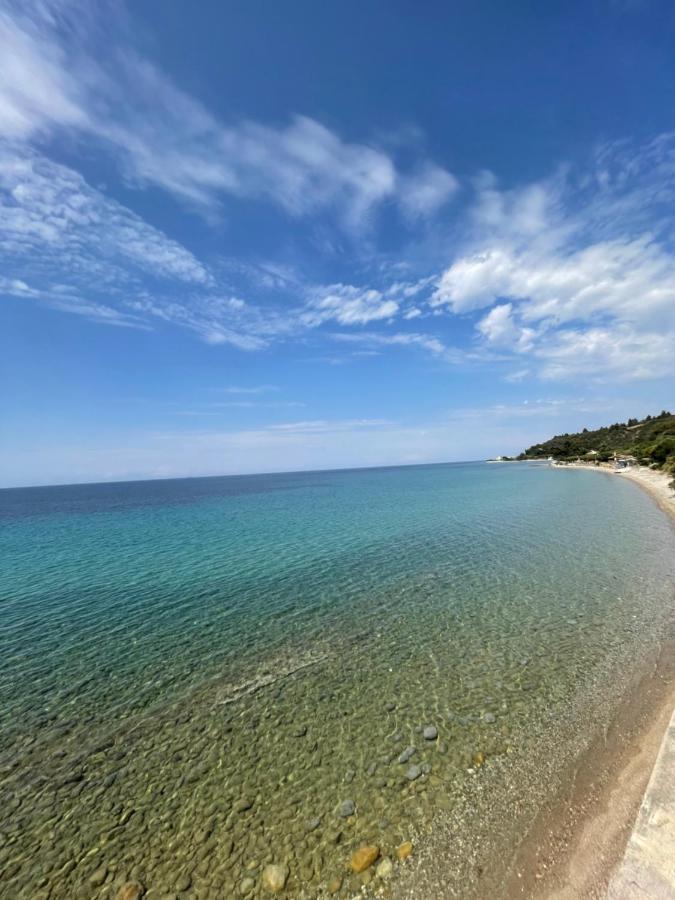 Apartment Zoel's House In Chalkidiki